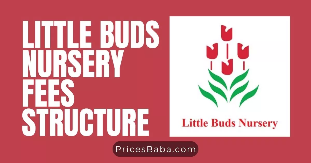 Little Buds Nursery Fees Structure 2024