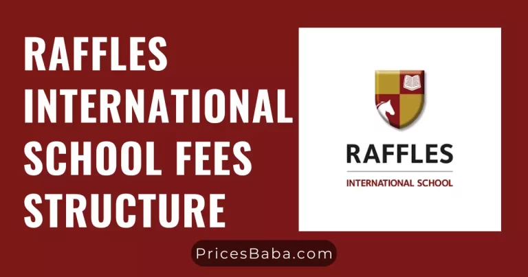 Raffles International School Fees Structure 2024